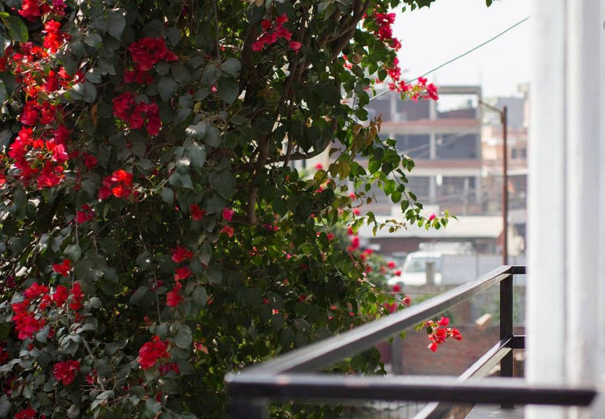Le Rhododendron Chambres D'Hotes Kathmandu Exteriör bild